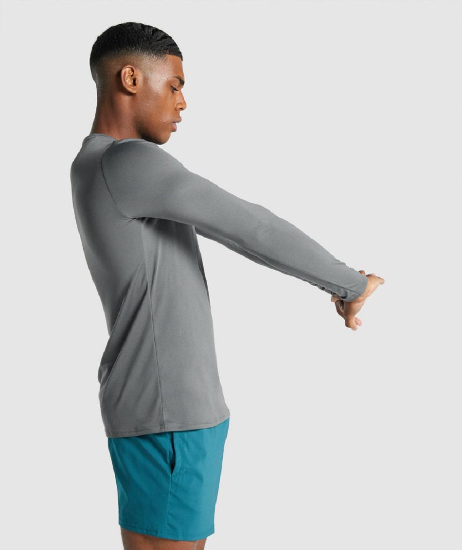 Long Sleeve Męskie Gymshark Arrival Grafiką Szare | PL 3663AHK